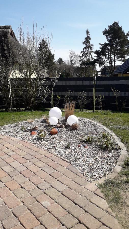 Ferienwohnung Born Am Darsswald Eg Eksteriør billede